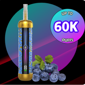 OLIT HOOKALIT PRO 60K | BLUEBERRY MINT