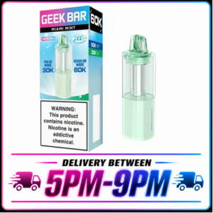 GEEK BAR MATE (POD ONLY) 60K | MIAMI MINT